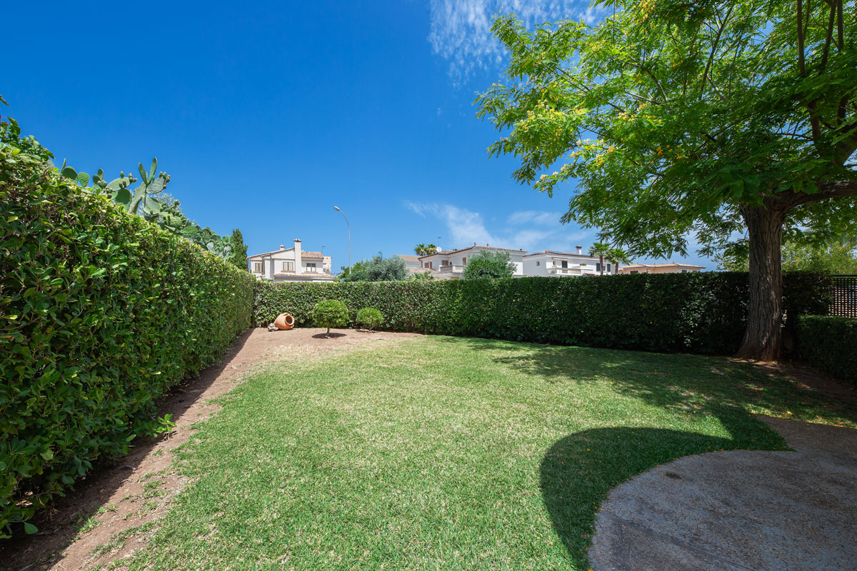 outdoor garden 02